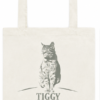 Phileas's Tote_Front The Phileas Moss Esq. Mission #1 Travelling Tote (Standard Issue)